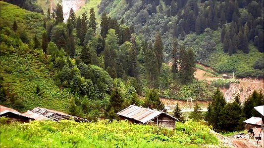Çahçor Yaylası Senoz Çayeli Rize (1.bölüm)