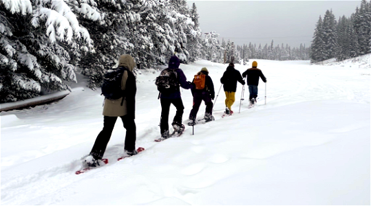Snowshoers on Mt. Hood National Forest