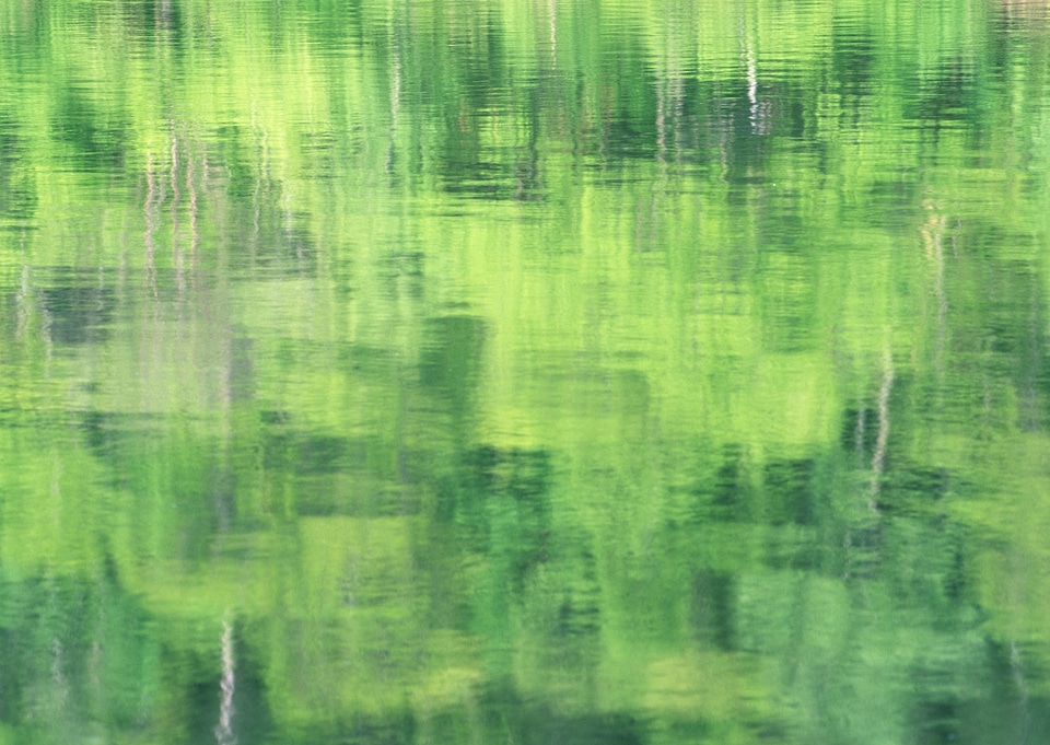 Green water surface