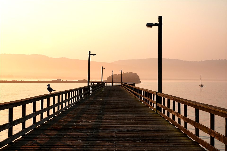 013 - B STREET PIER (8-28-2021) crescent city, del norte co, ca  (4)
