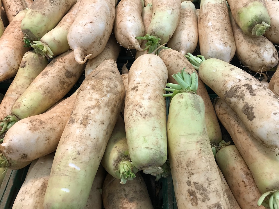 fresh radishes in market