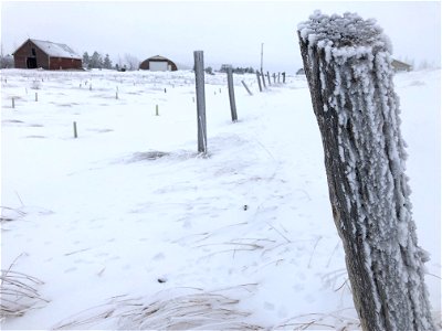 Whole String of Posts