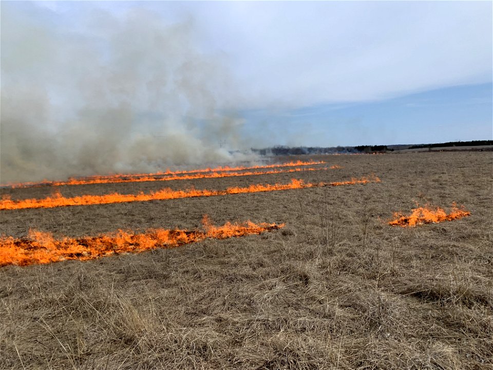 Fuels Management - USFWS 2022 Photo/Video Contest