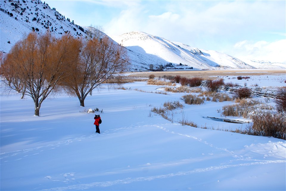 Photographer on the National Elk Refuge