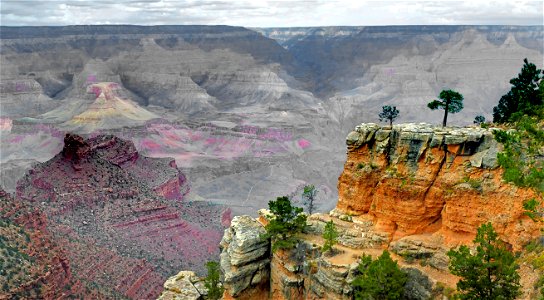 A Grand Canyon photo