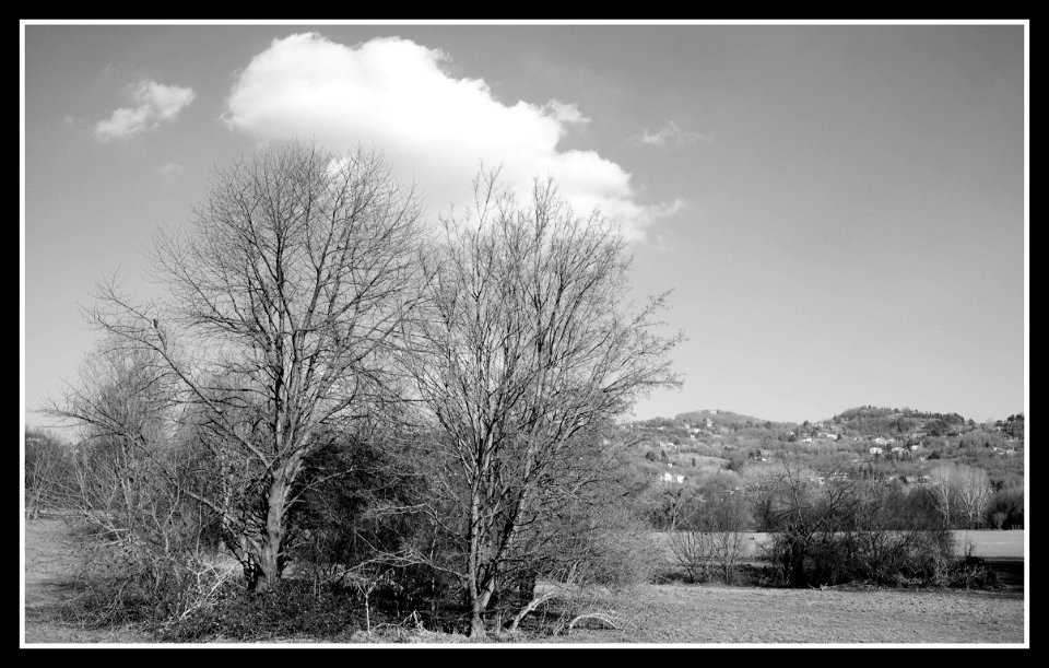 park walk