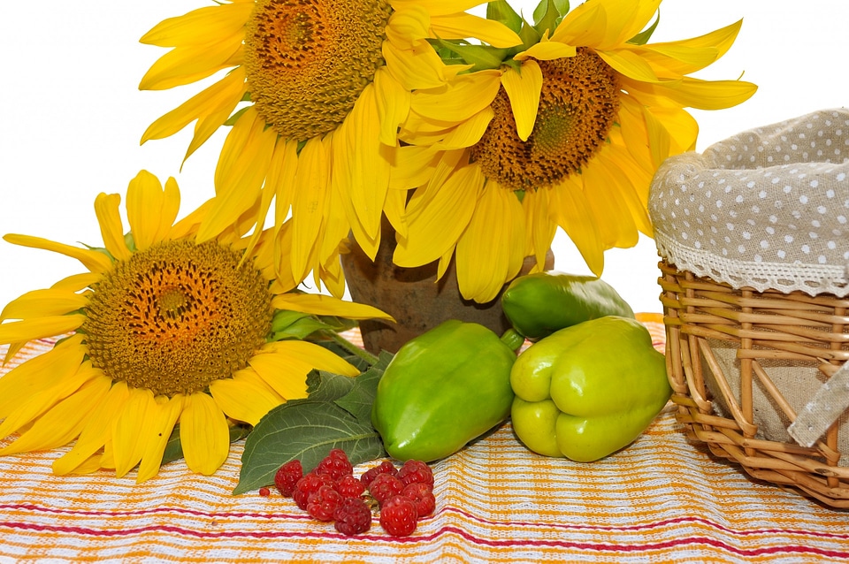 Still Life With Sunflowers