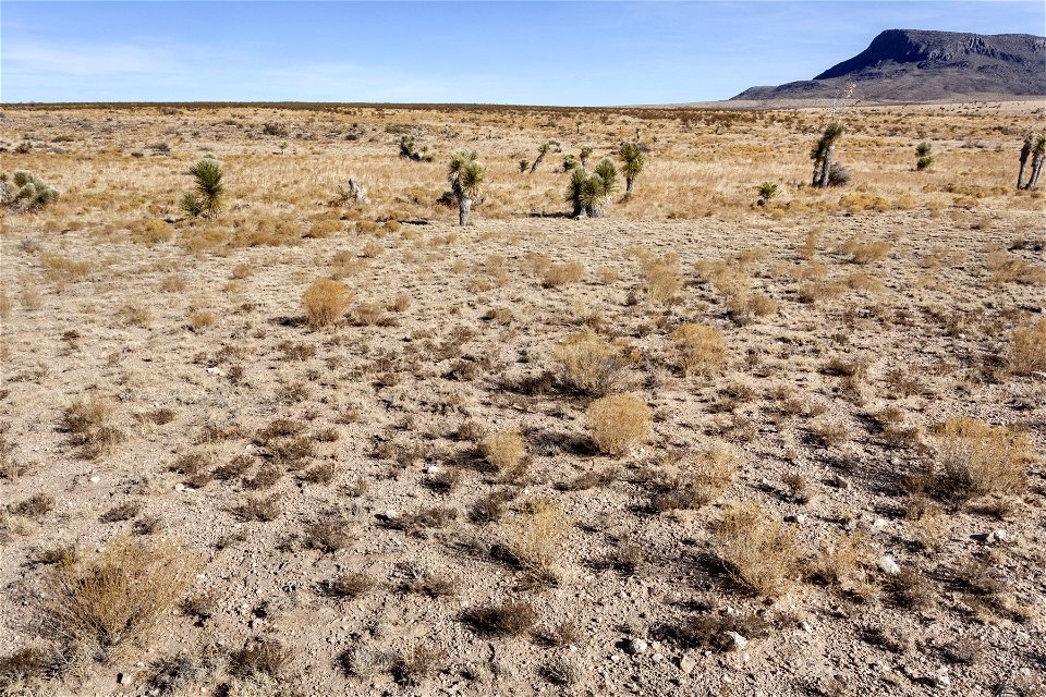 Otero Mesa