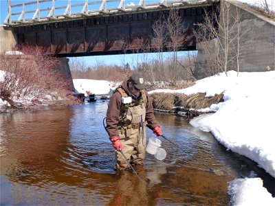 Matt Symbal electrofishing the Rock River, Alger County, Michigan photo