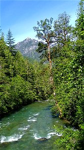 Sauk River near Bedal Campground, Mt. Baker-Snoqualmie National Forest. Video recorded by Anne Vassar June 23, 2020