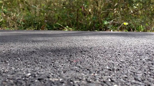 Caterpillar Crawl
