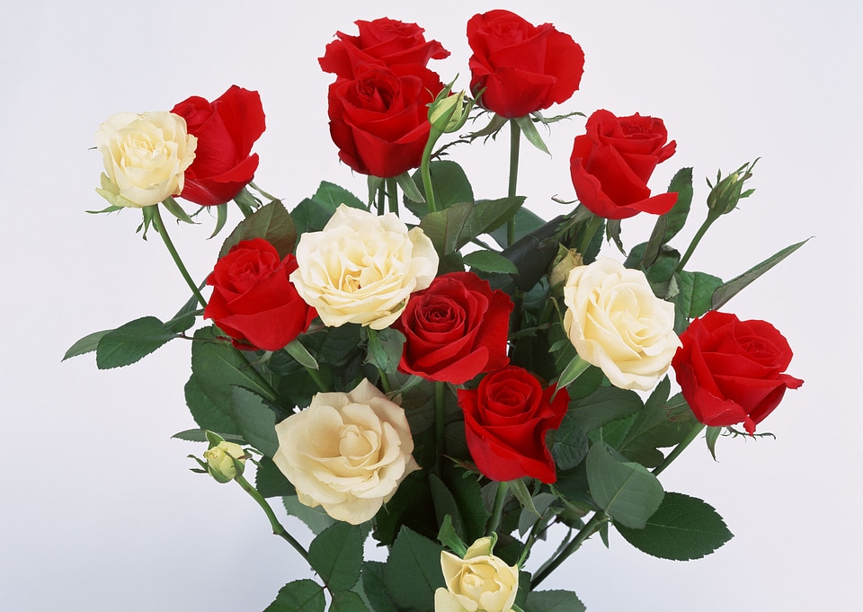 bouquet of yellow roses in basket on white background