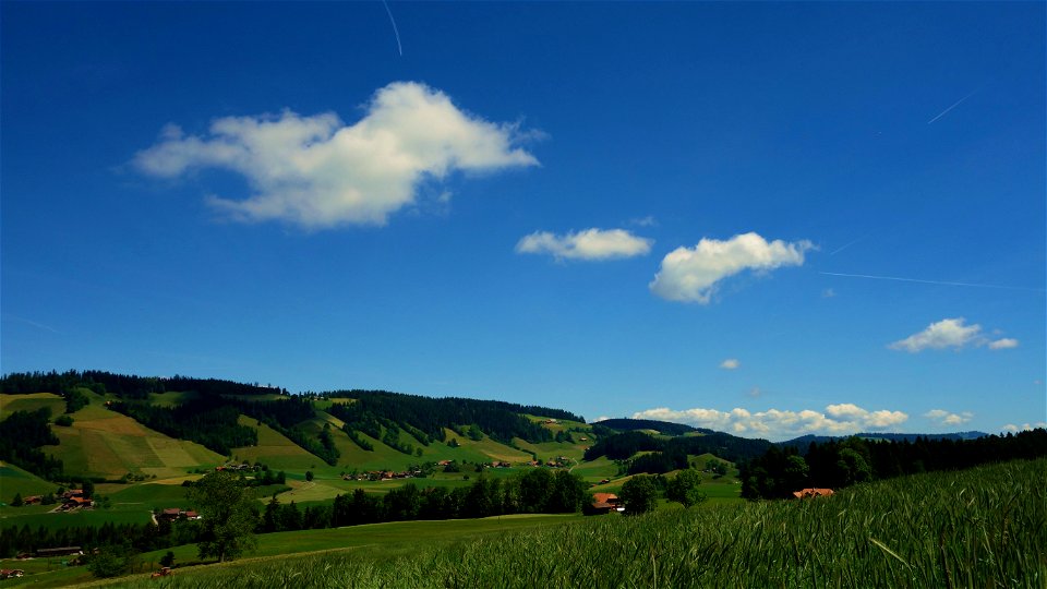 DSC09727