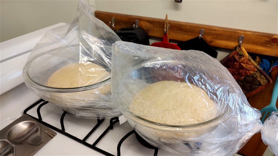 Sourdough bread dough proofing in bowls covered with plastic photo