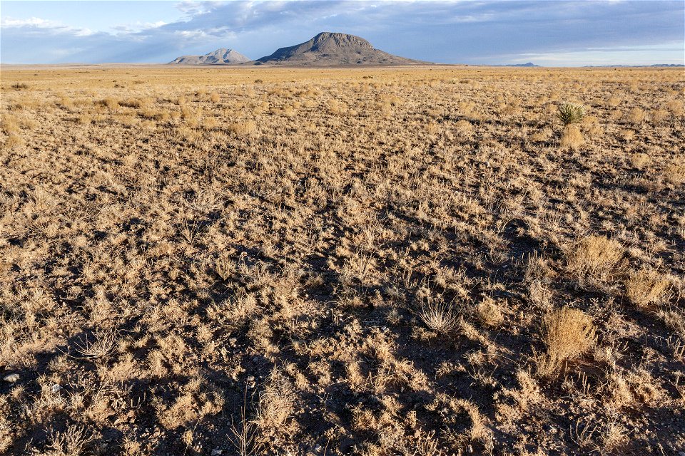 Otero Mesa