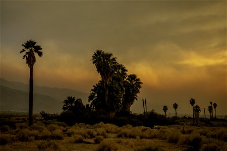 Oasis of Mara with smoke from the Apple Fire at sunset
