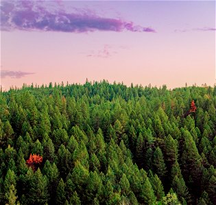 South Yuba Recreation Area photo