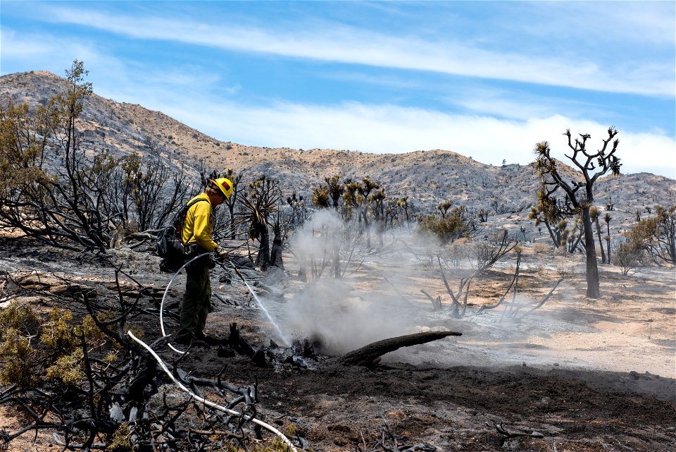 A Firefighter Putting out Hot Spots in a Burned Area of the Elk Fire