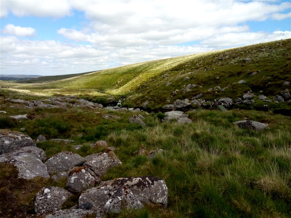 IMG_20210625_151405 Dartmoor, Whiteworks / Fox Tor Mires ,  Hexworthy Dam in distance