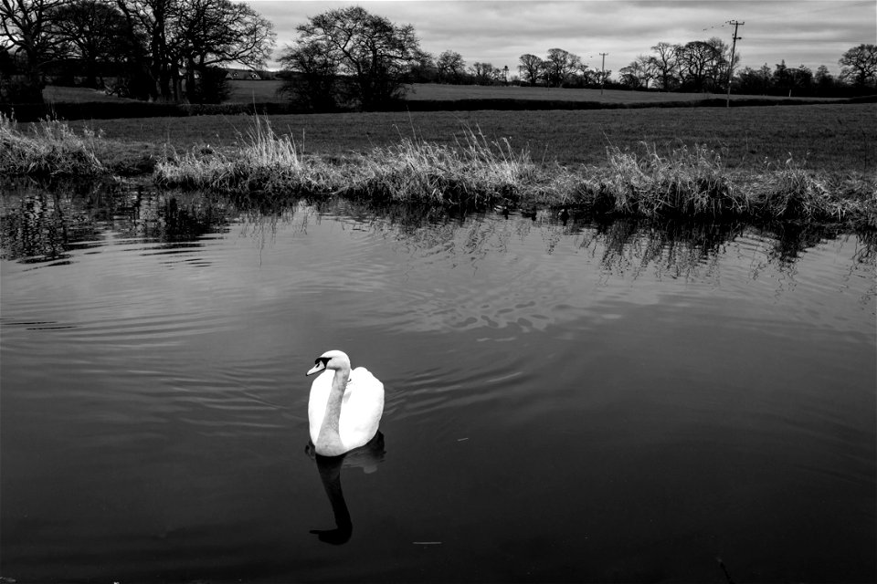 Garstang Stroll (2 of 2)