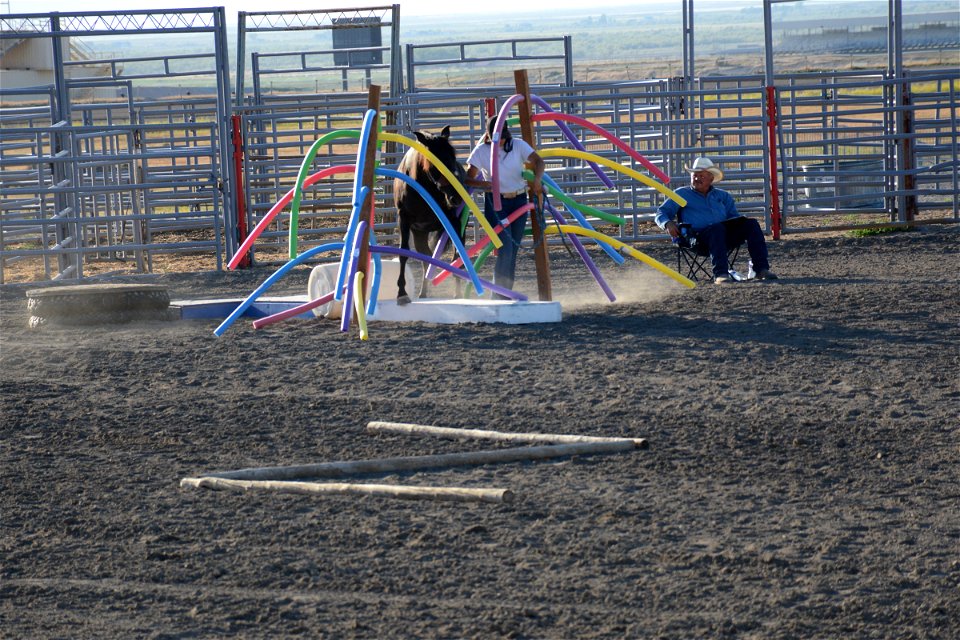 Northern Utah Wild Horse & Burro Festival - 2022 photo