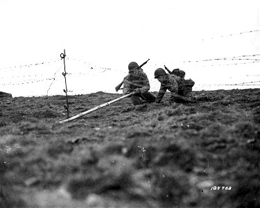 SC 184703 - A Bangalore Torpedo being inserted under a barbed wire entanglement to clear the way for troops.