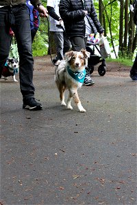 IMG_1521