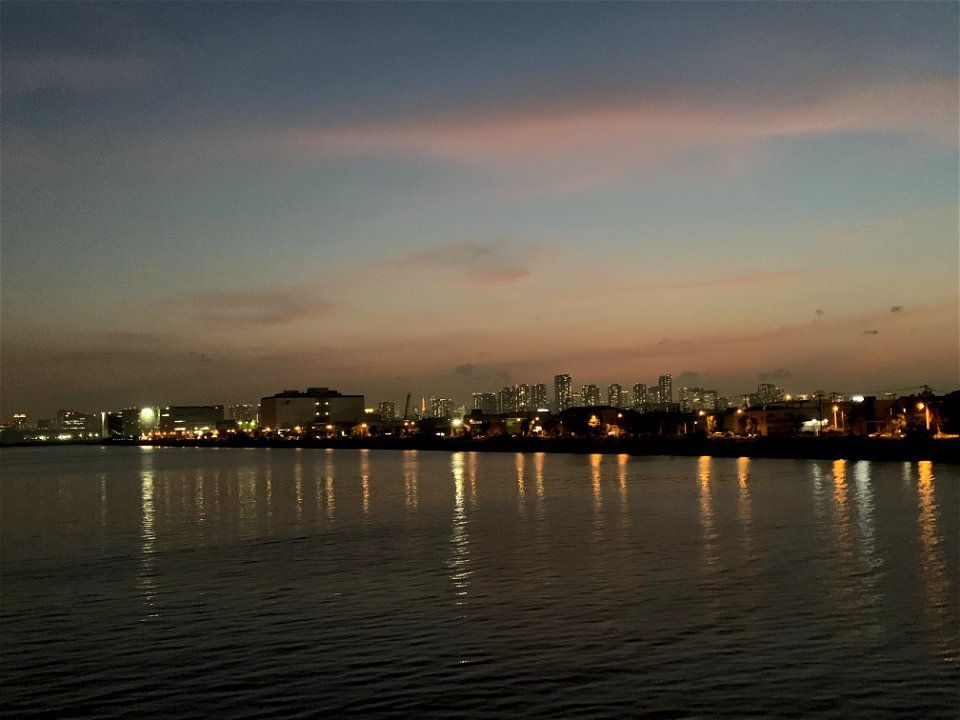 Koto-ku from Wakasu Bridge