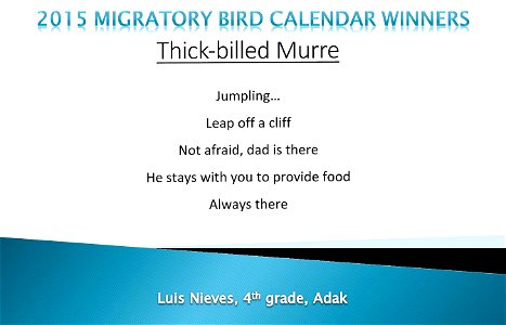 Slide16