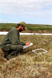 Vegetation sampling photo