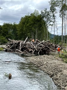 07162021-FS-GPNF-Engineered log jam along Yellowjacket Creek