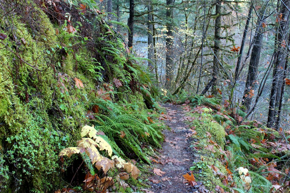 img_2047_trail5jpg_49364041738_o