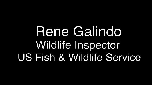 Rene Galindo, U.S. Fish and Wildlife Service, Wildlife Inspector