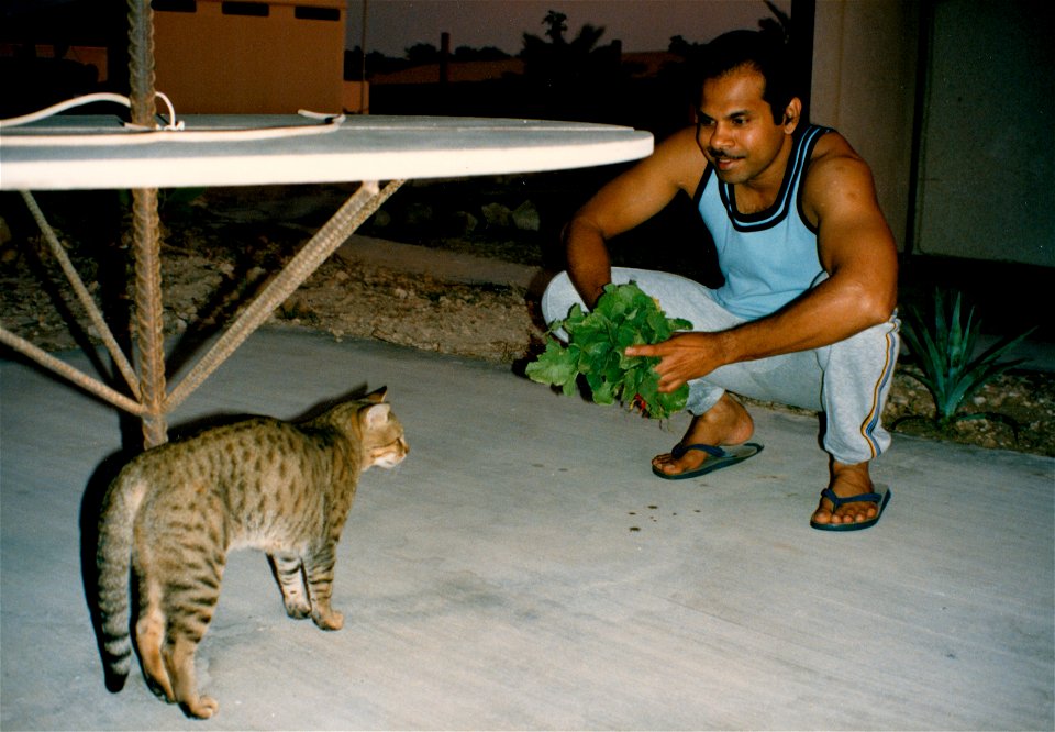 Life in Bahrain
