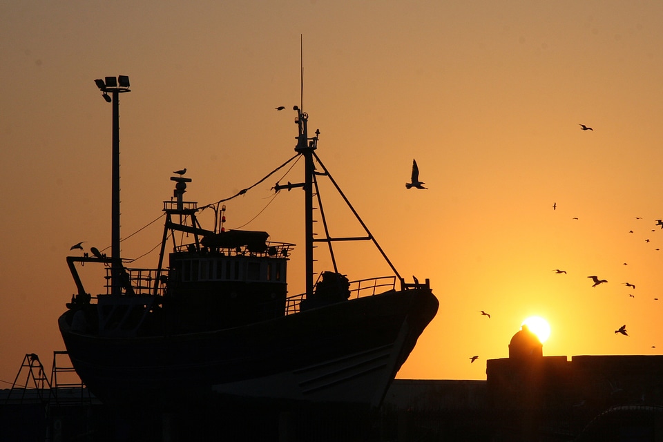 Sea sunset silhouette