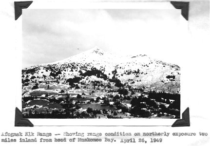(1949) Afognak Elk Range photo