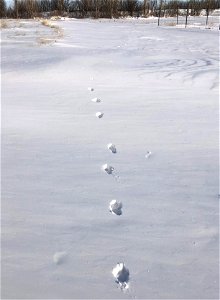 Stepping Into Oblivion