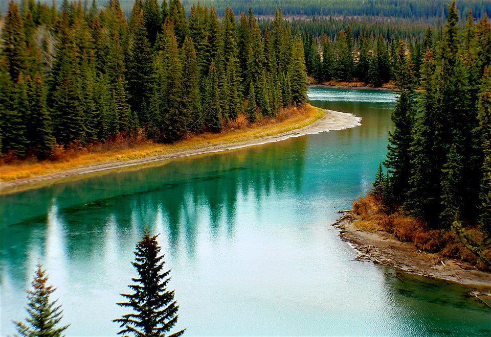 The Bow River. Alberta.