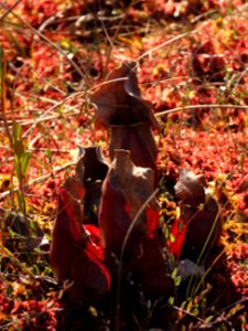 20211019-FS-Superior-SAR-013