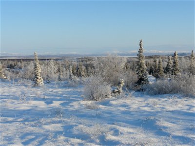 Winter in King Salmon