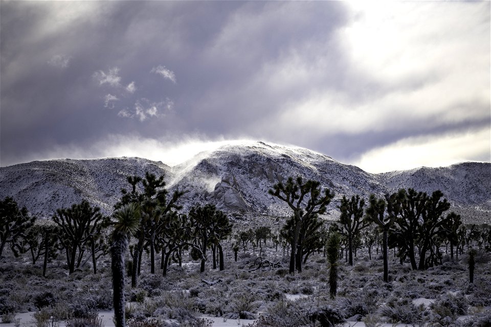 Snow drifts over Ryan Mountain