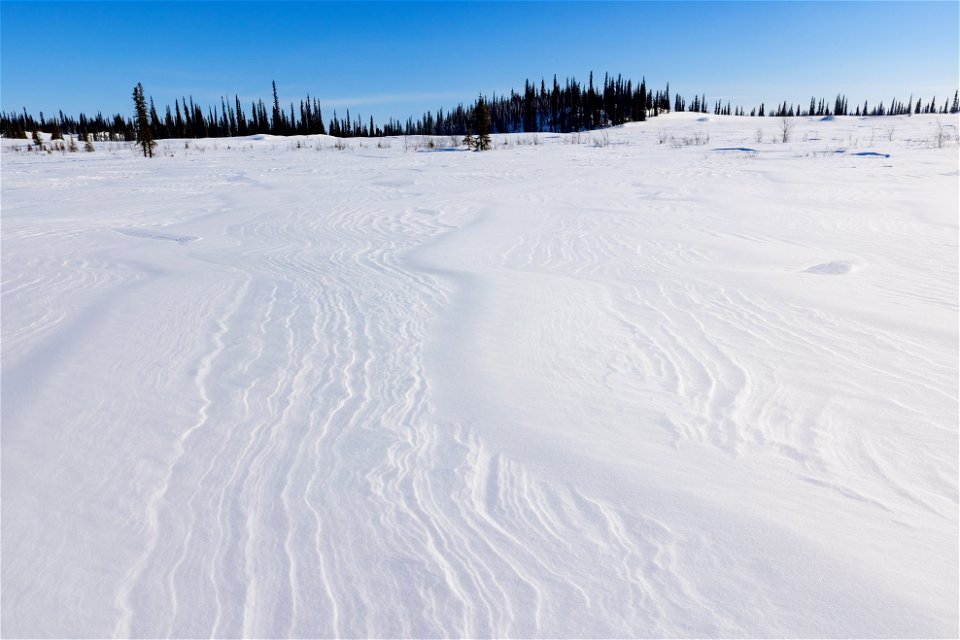Textures of snow over glacial sand dunes at Selawik National Wildlife Refuge