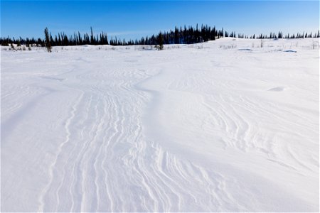 Textures of snow over glacial sand dunes at Selawik National Wildlife Refuge photo