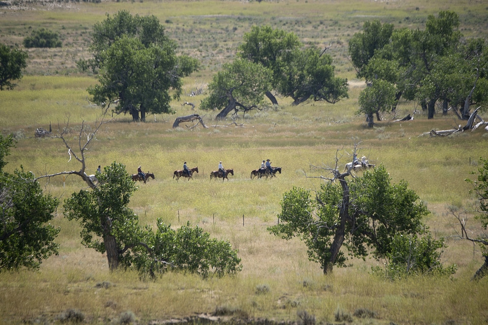 A group of young people horseback riding in the grassy field