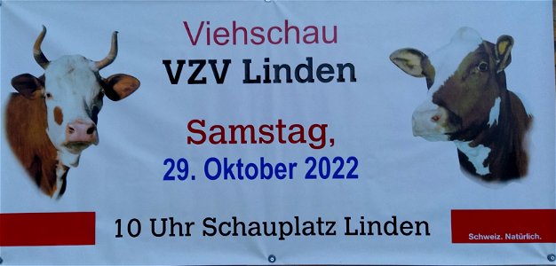 IMG_20221028_184526