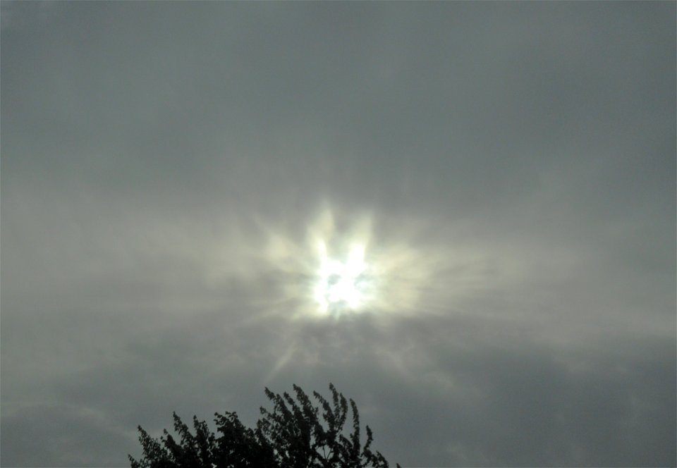 spontaneous apparition