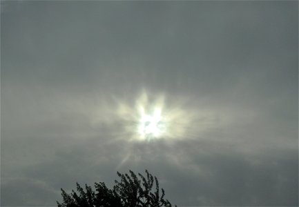 spontaneous apparition