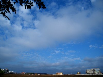 nori2010_0930_085729