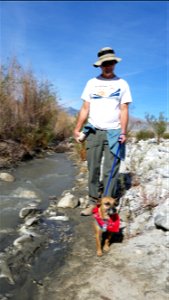 Hiking with Dogs