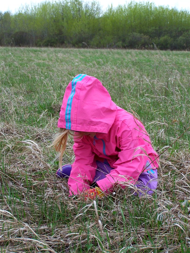 Young Girl Scout Plants Tree